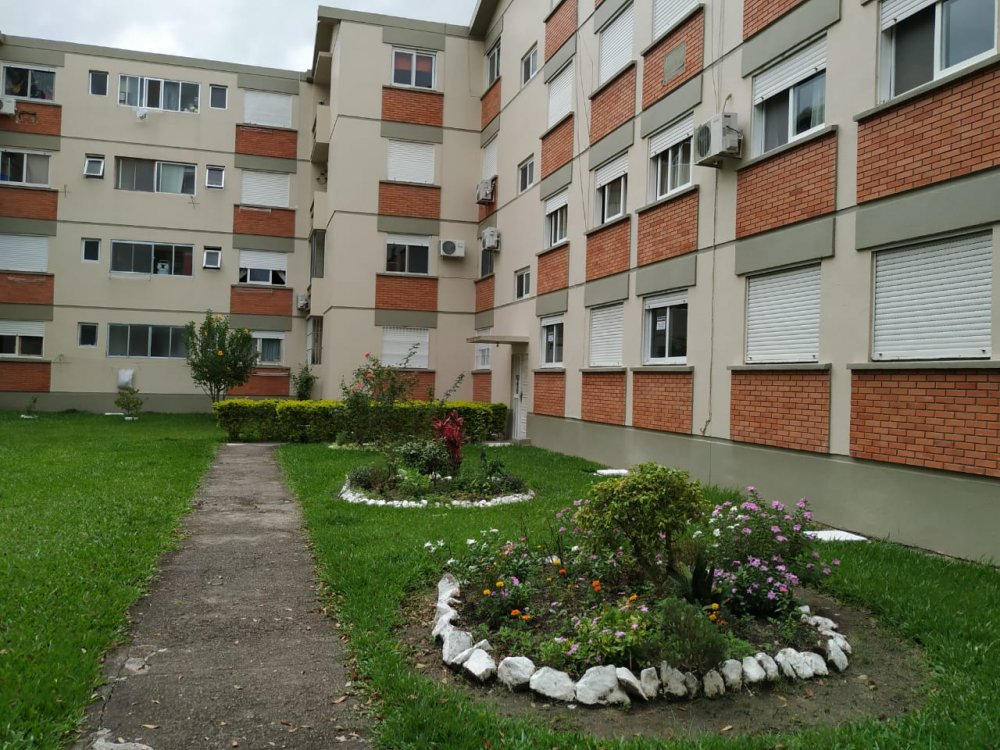 Apartamento - Venda - Areal - Pelotas - RS